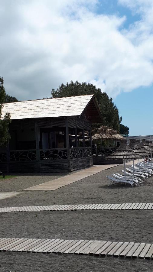 Домики У Лизы Под Ключ Pitsunda Dış mekan fotoğraf